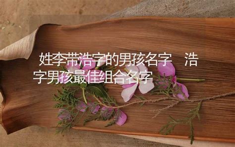 芮姓名學|芮字最佳名字组合